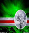 Аватар пользователя erz95
